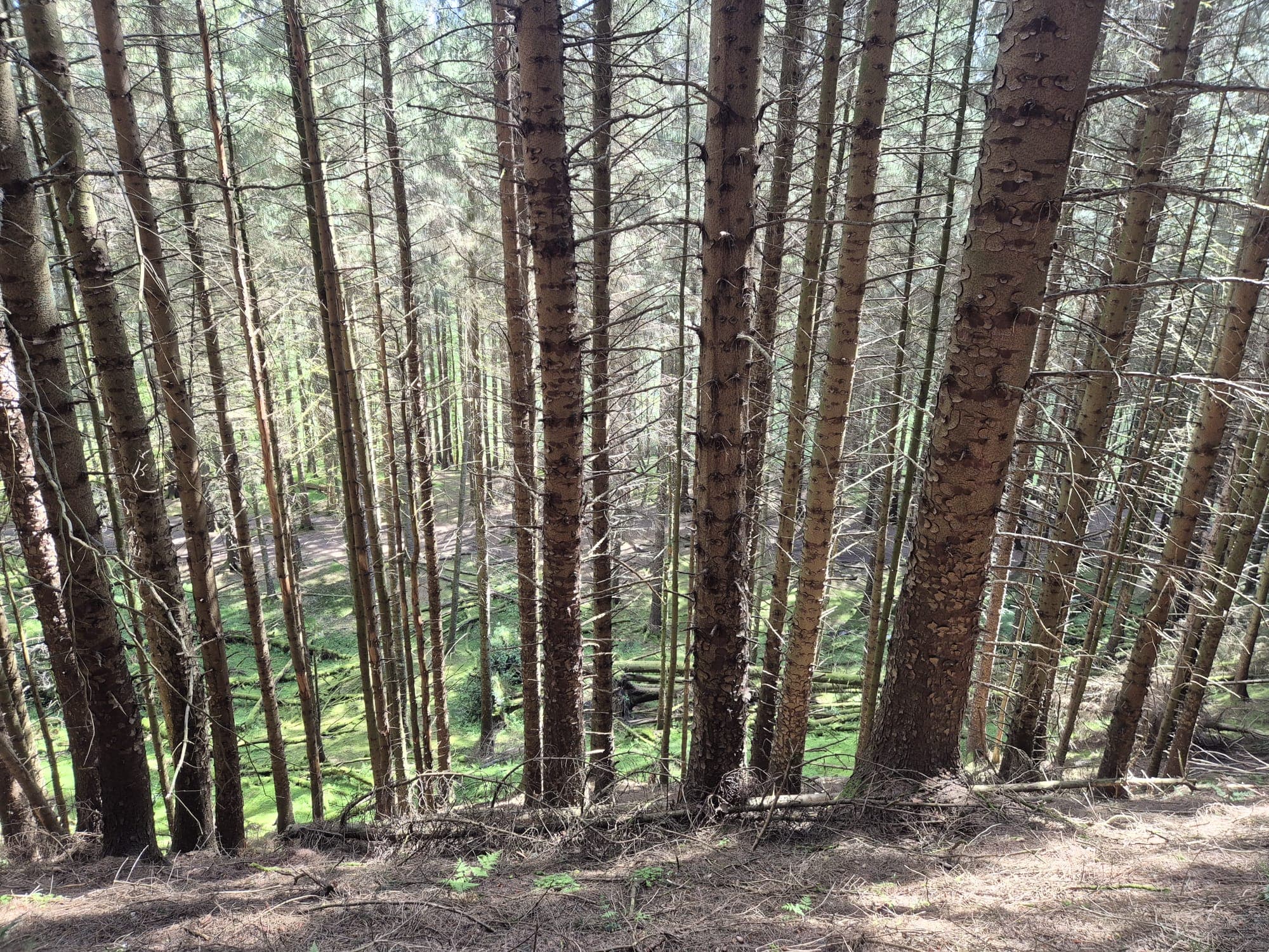 A moment from a Hike2Heal walk