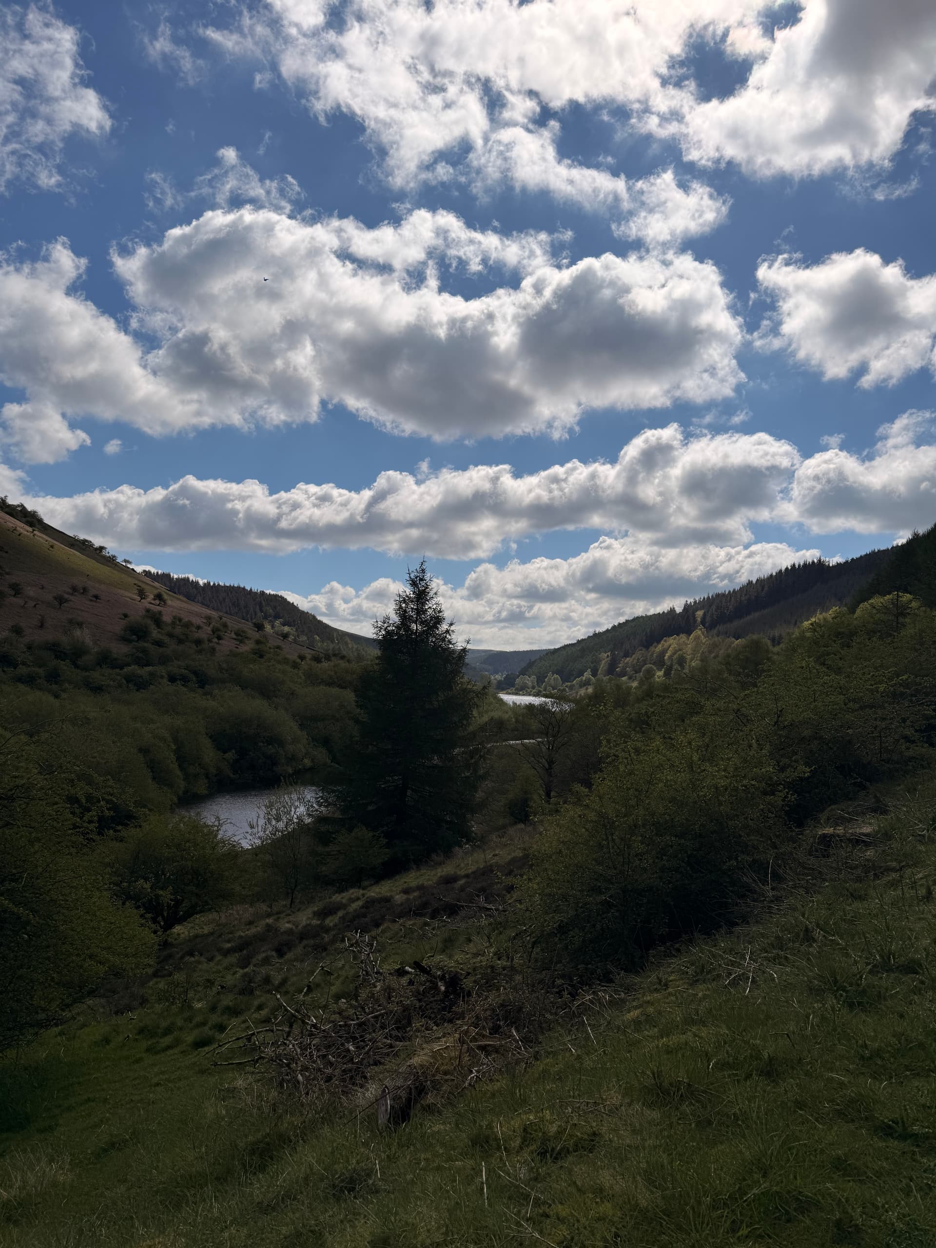 A moment from a Hike2Heal walk
