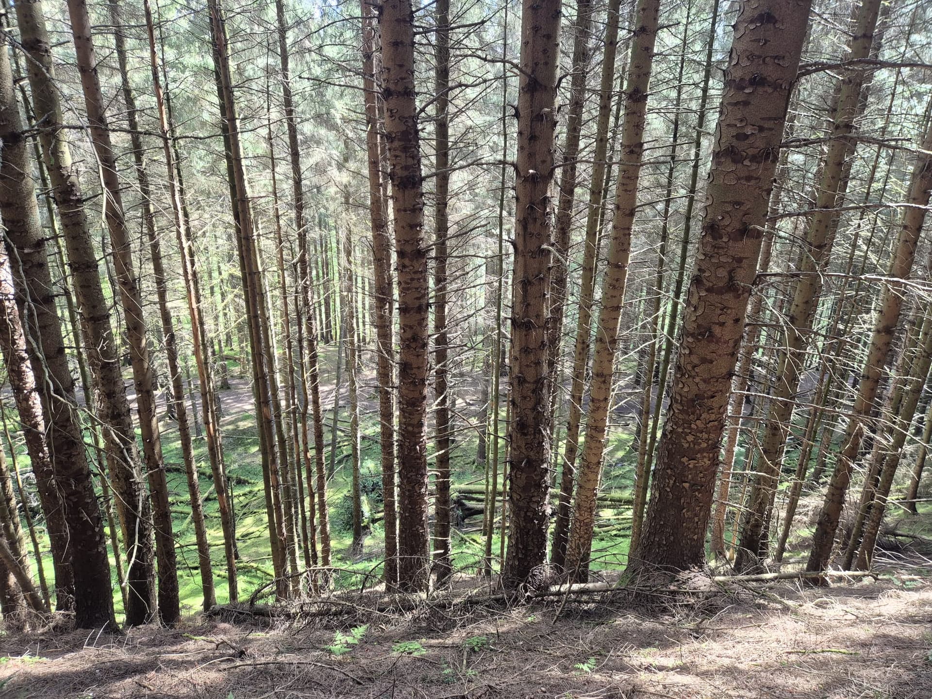 A moment from a Hike2Heal walk