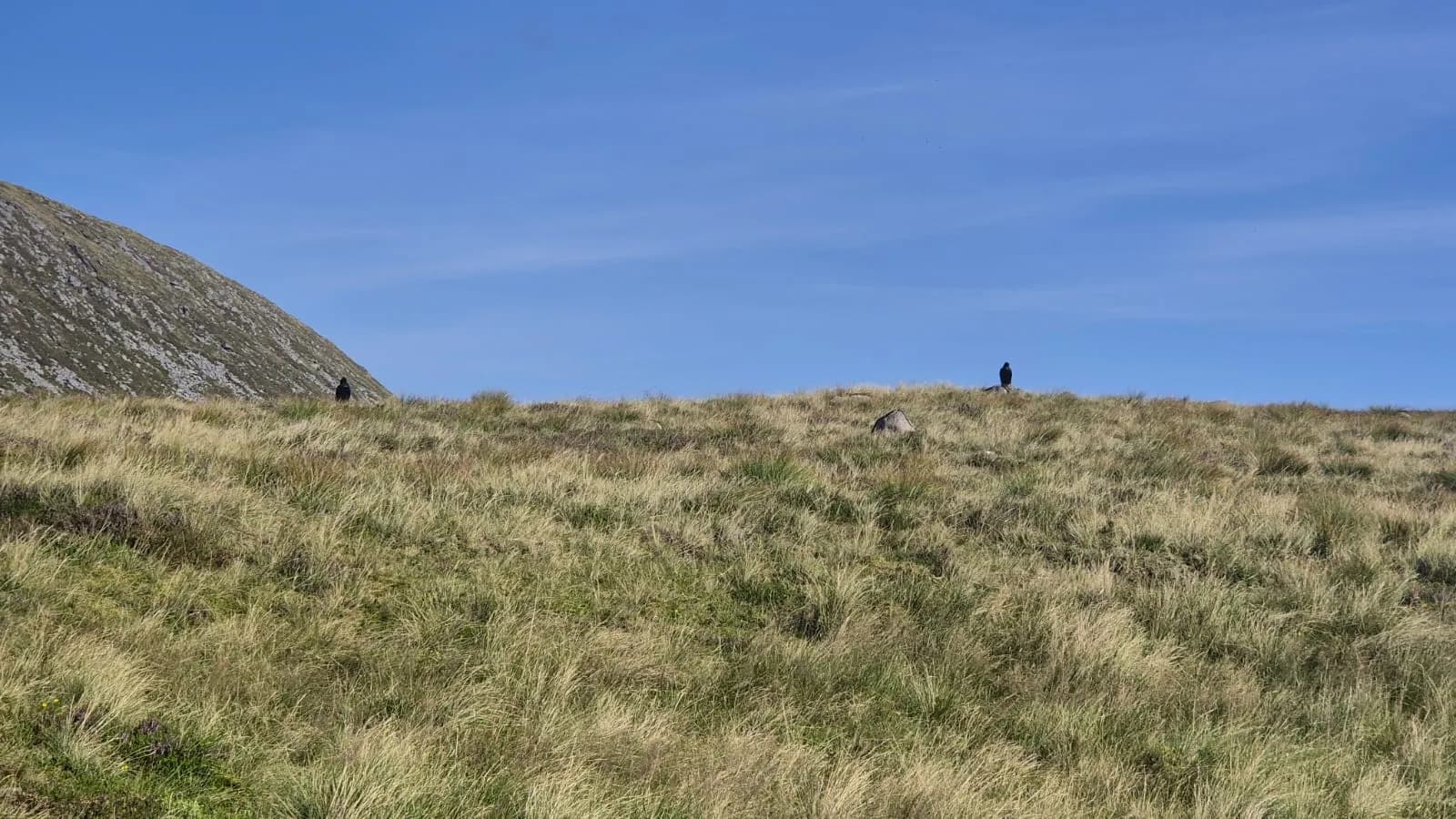 Hike2Heal on Ben Nevis, 2025 — a moment from the climb