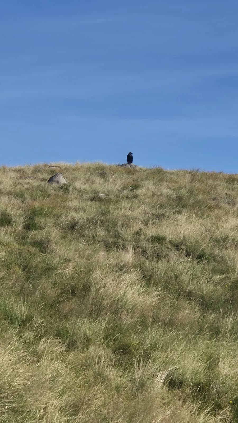Hike2Heal on Ben Nevis, 2025 — a moment from the climb