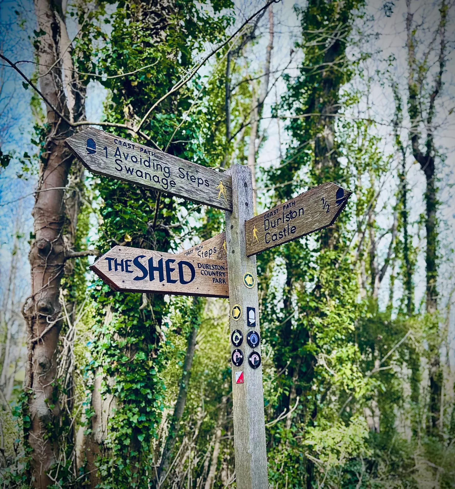 A moment from a Hike2Heal walk
